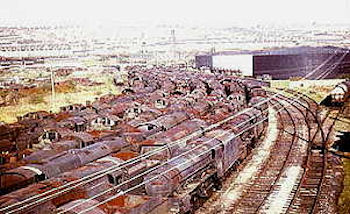 View of the West Pond site, 1972