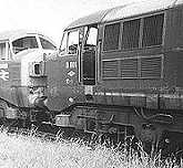 D600 Active and D601 Ark Royal at 
Barry scrap yard, June 8 1969